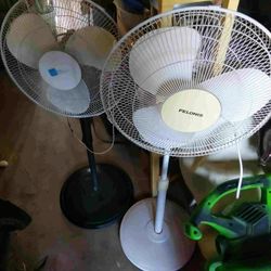 $15 Each.  $30 For Both