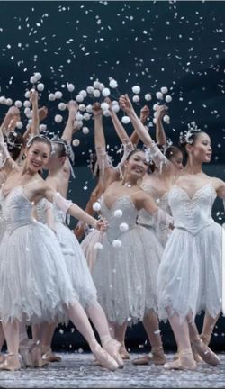 2 orchestra seats Nutcracker Ballet 12/26 matinee