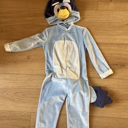 Bluey Halloween Costume Size 2T