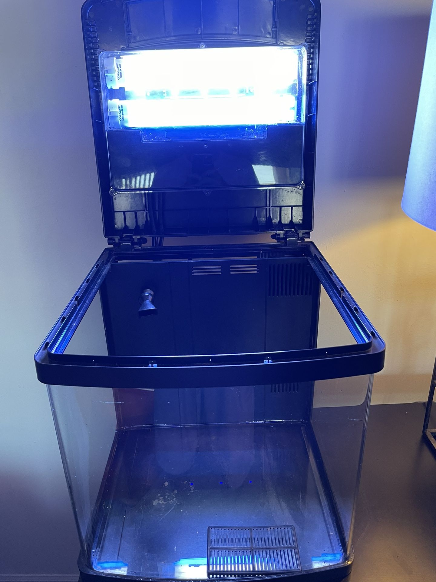 BioCube 16 aquarium