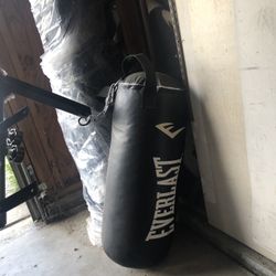 Everlast- Punching Bag