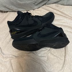 Nike Kobe IV Protro Gift of Mamba