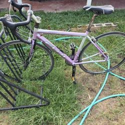 Fuji Bicycle 