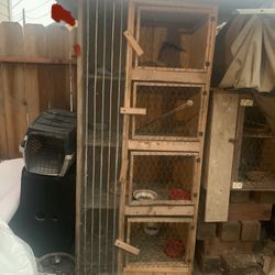 Breeding Cage Or 4 Section Cage