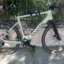 Canyon E Bike 