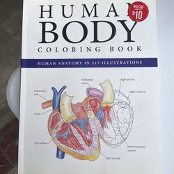 Human Body coloring Book