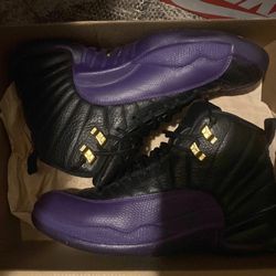 Air Jordan 12