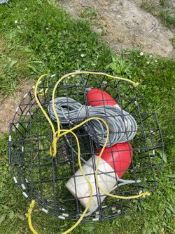 New crab pot