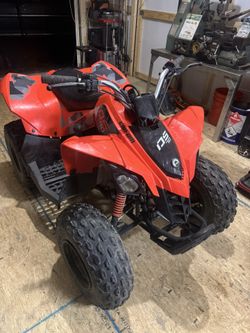 CAN-AM DS 70 Year: 2018 Low Hours