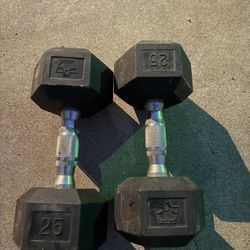 25 Lbs Dumbbell Weights 