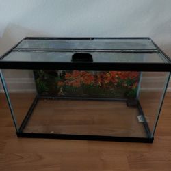 10 Gallon Fish Tank with Lid