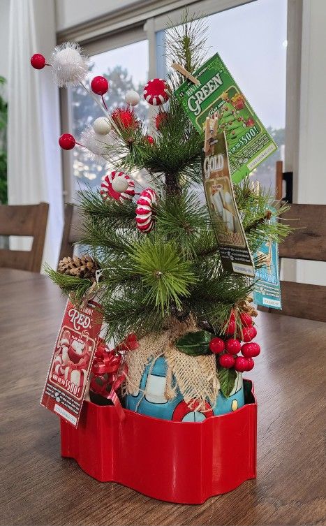 Holiday Christmas Tree Gift Mugs 