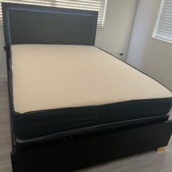 BLACK / GOLD Bed 🖤💛 W/ LED’s