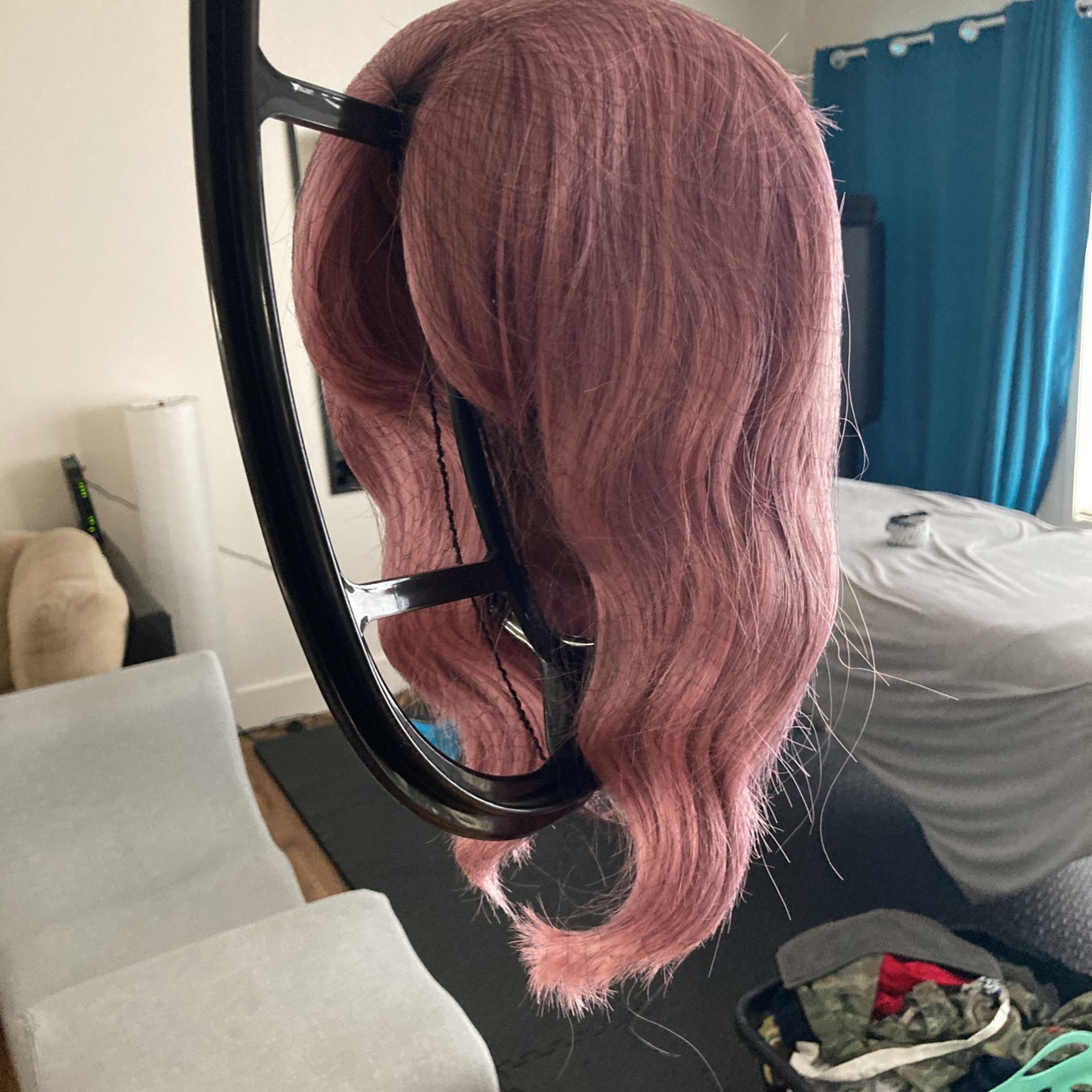 Brand New Wigs!! With Hangers!