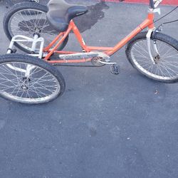 Workmanship Tricycle 