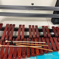 Flawed-See Description, Portable Xylophone With Mallets and Carrying Bag