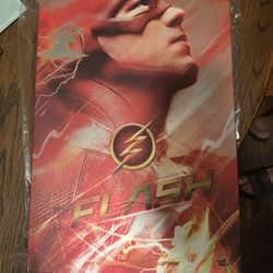 Barry Allen Flash Hot Toy 