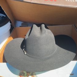 Tony Llama And Stetson 