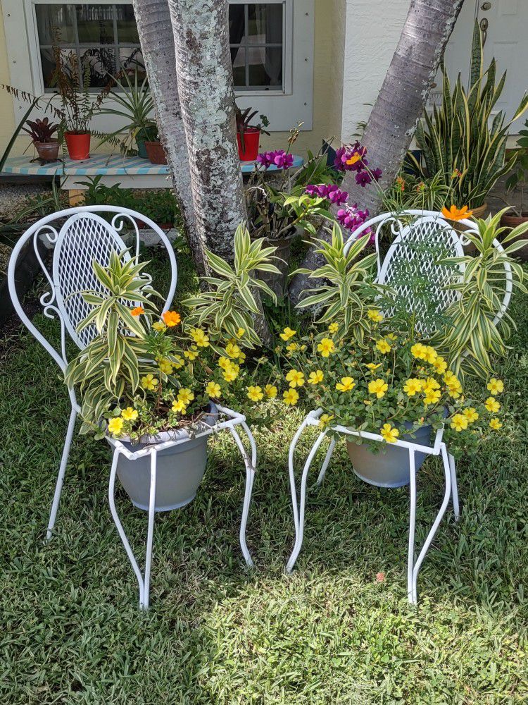 Wrought Iron  Flower Pot Chairs (2) w Flower!