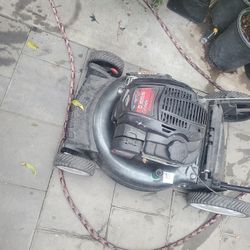 Máquina de Cortar Pasto 