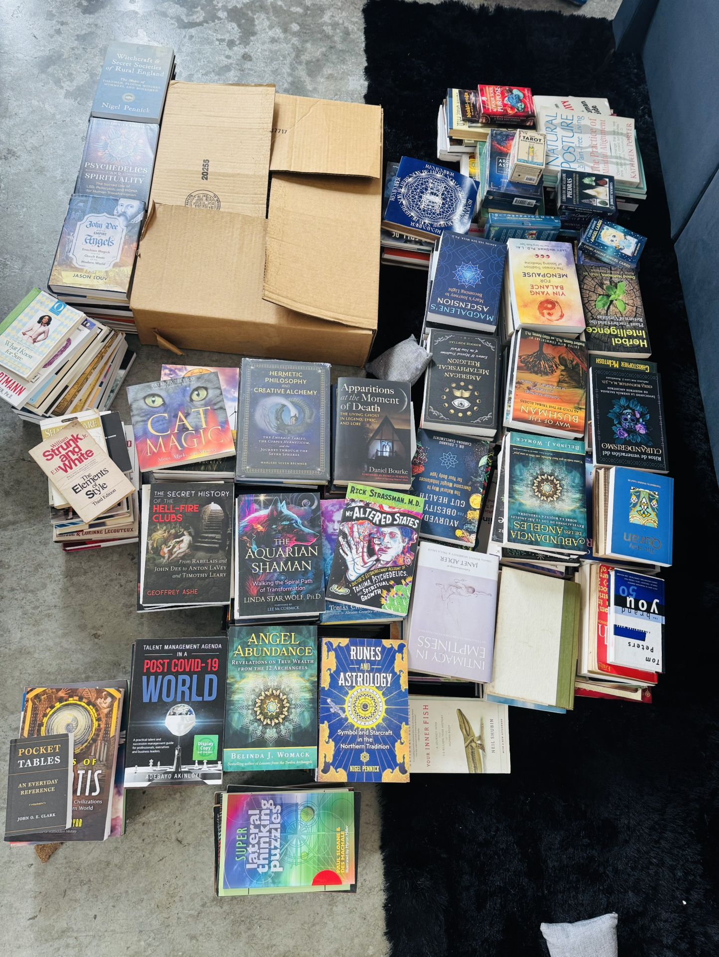 Giant Book Give Away