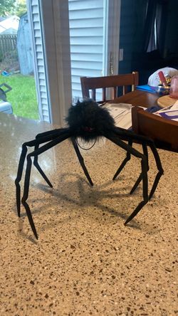 Large Black Halloween Spider Decoration
