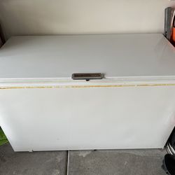 Chest Freezer for Cold Plunge