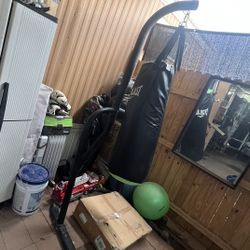 Punching Bag 