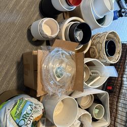 Assorted Plant Pots and Gardening Supplies