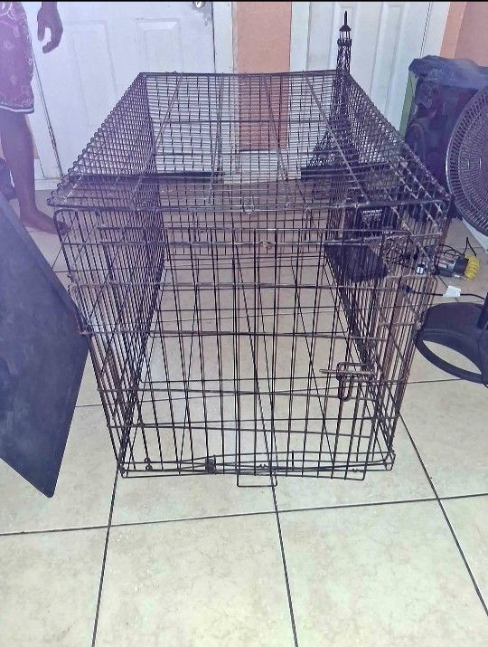Dog Cage