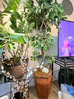 3 Large Artificial Indoor Trees w/ Decorative Planters – Like New