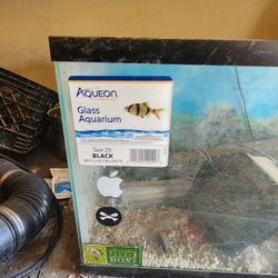 Fish Tank  