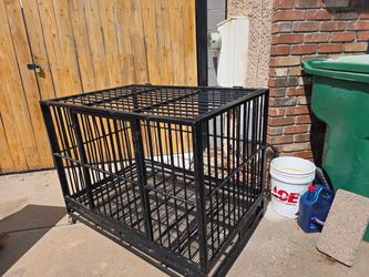 Dog Kennel very large