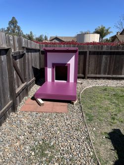 Dog House