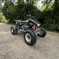 Honda Trx 2006 ER