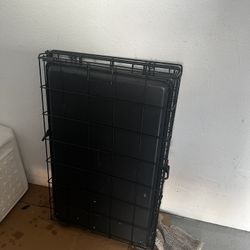 medium Kennel