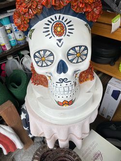 Ex large skull head display 90”D 26”H 22”W ex cond