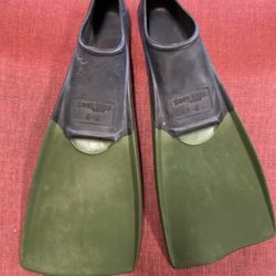 Snorkeling Fins