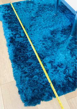 Shag Rug