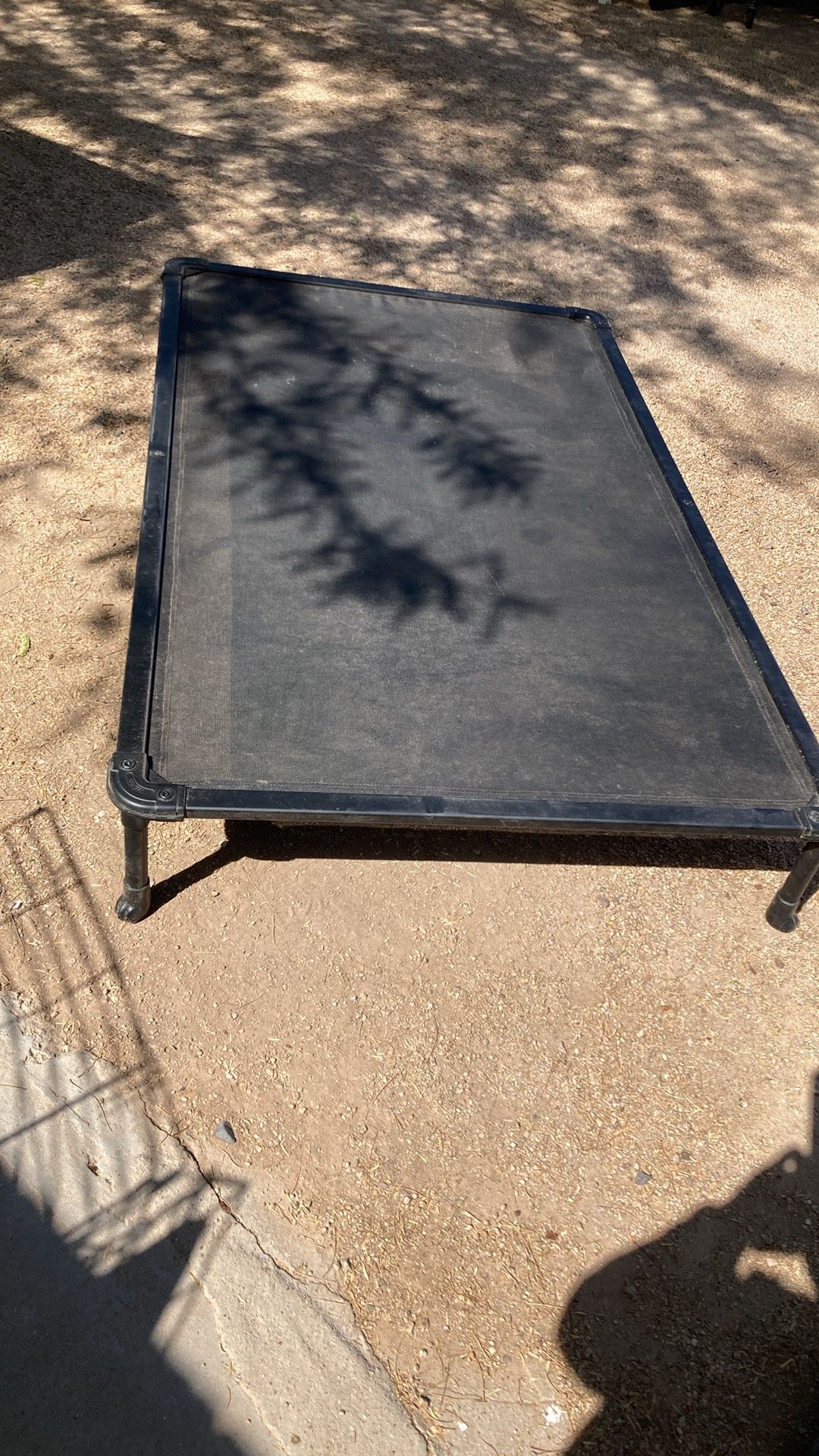 Xl Raised Dog Bed