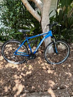 Schwinn bike