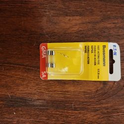 5 Amp Fast Acting Fuse