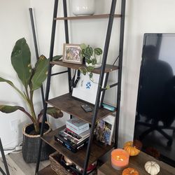 Standing Shelves 