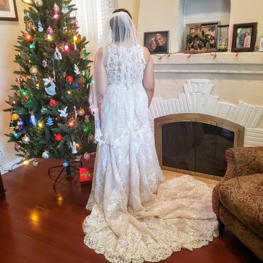 Wedding Gown-Martina Liana