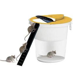 Trap Bucket Lid
