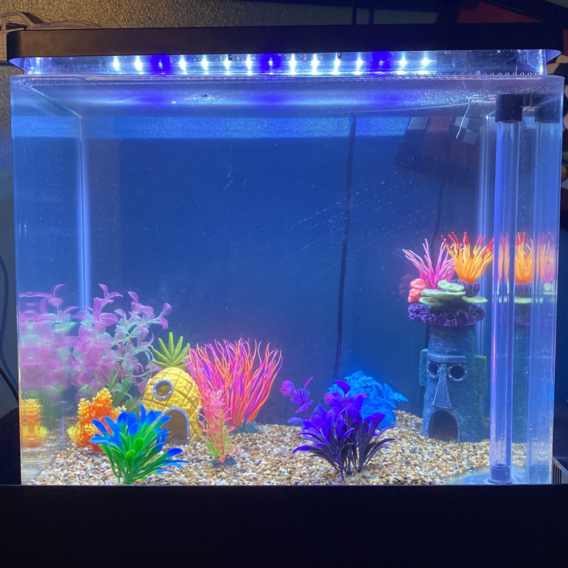 Fish tank