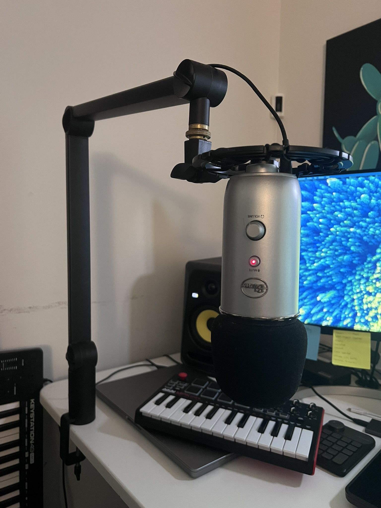 Blue Yeti Mic
