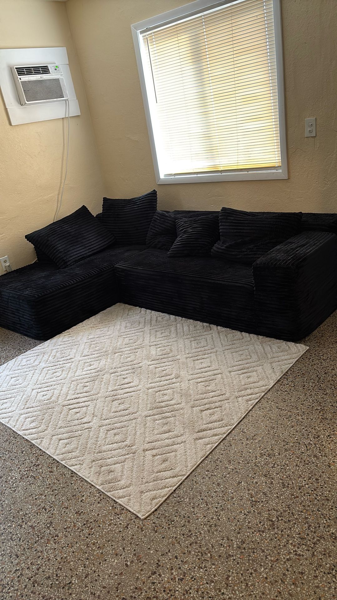 Brand New Couch