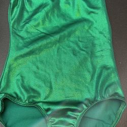 Shiny  green leotard 