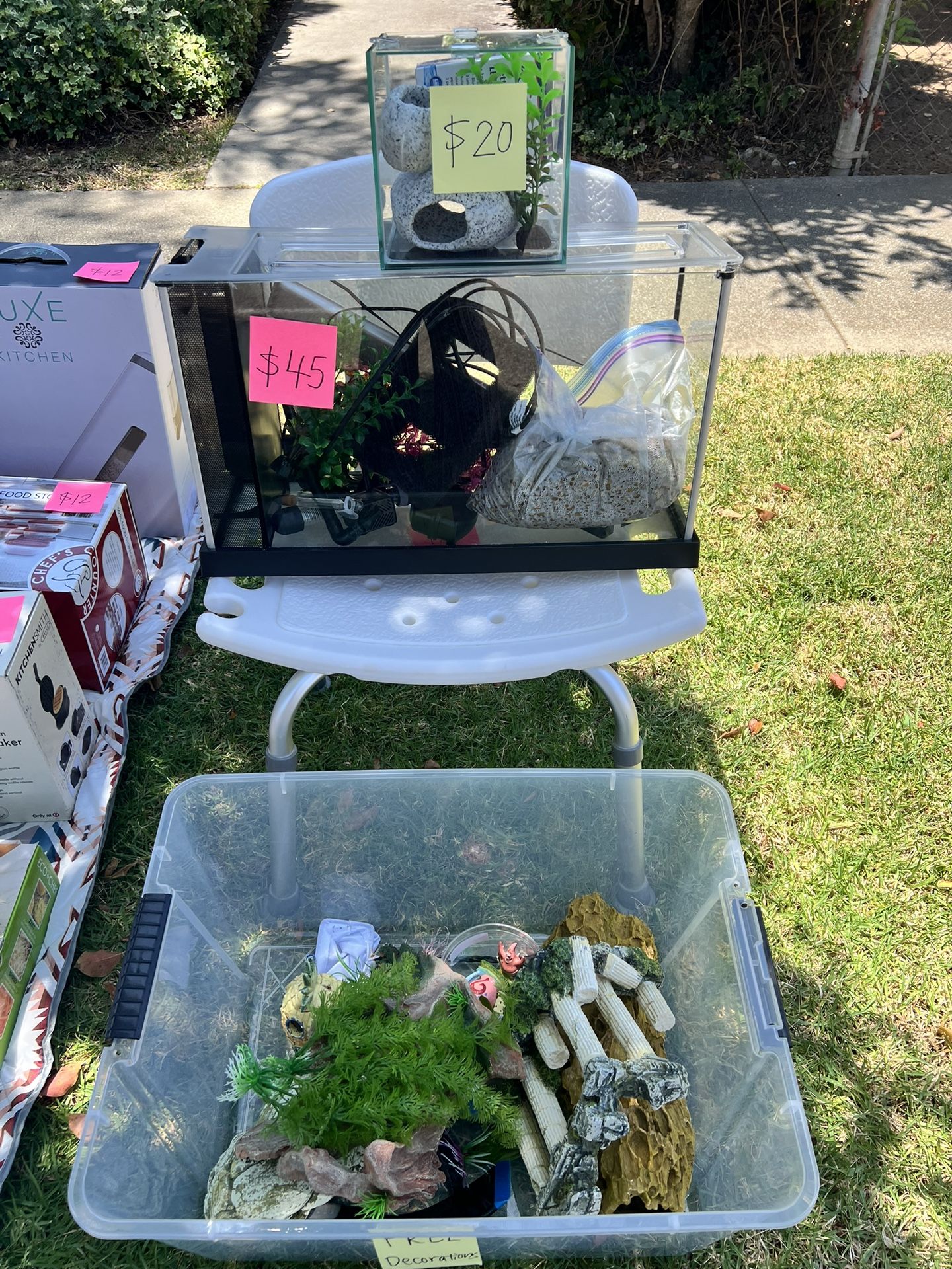 5Gal Aquarium, 1Gal Aquarium, And Freebies (decorations)